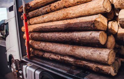 NUEVO CURSO: Estiba y sujeción de cargas